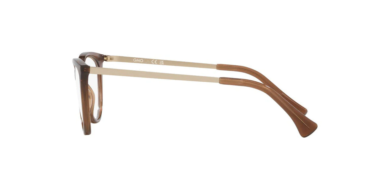 Armazón Gmo GN3504 Café - Image 3