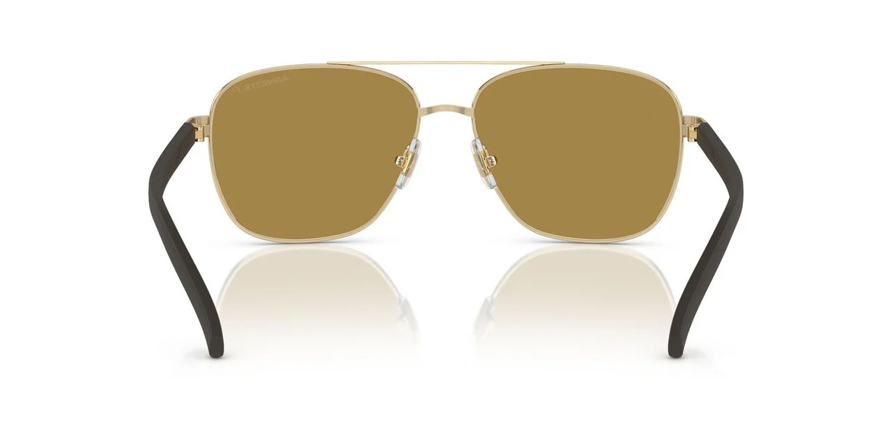 Gafas De Sol Arnette AN3087 Café/Dorado - Image 4