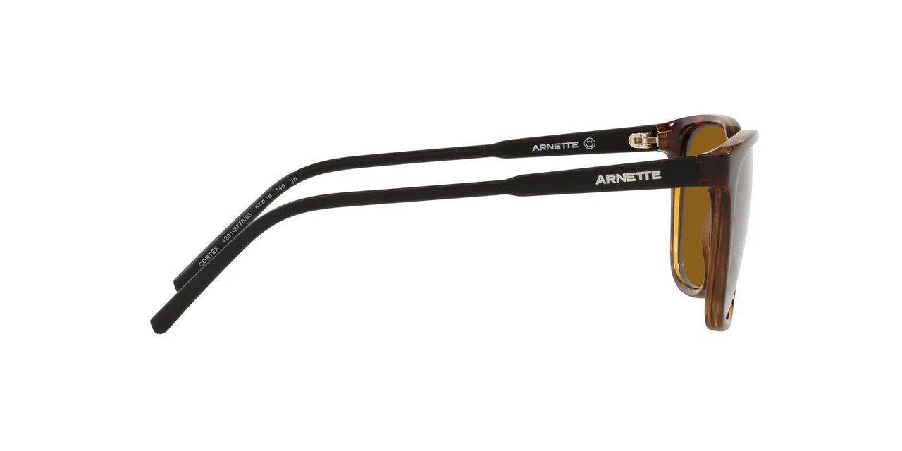 Gafas De Sol Arnette AN4291 Café/Havana - Image 6