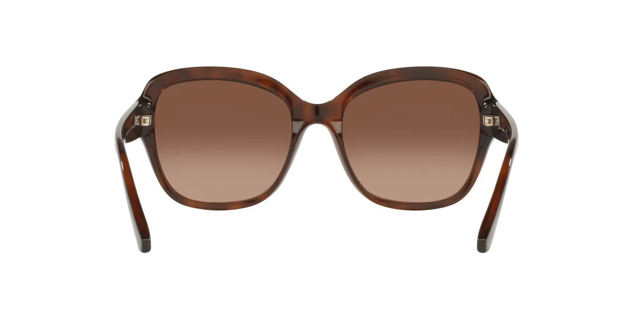 Gafas De Sol Jack Pacific JK1025M Café/Havana - Image 4