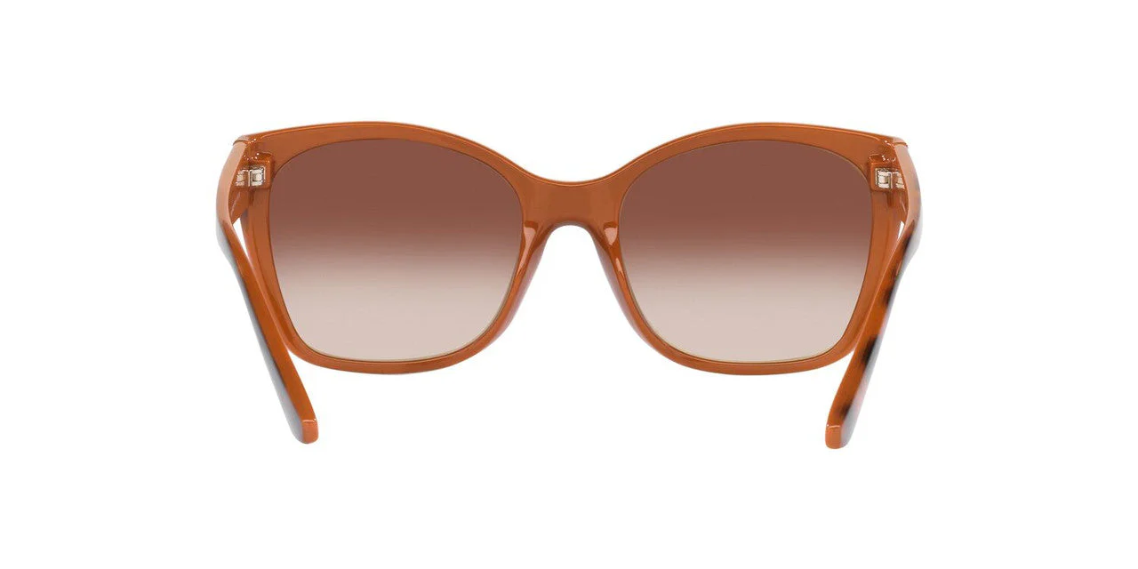 Gafas De Sol Jack Pacific JK1036M Café/Havana - Image 4