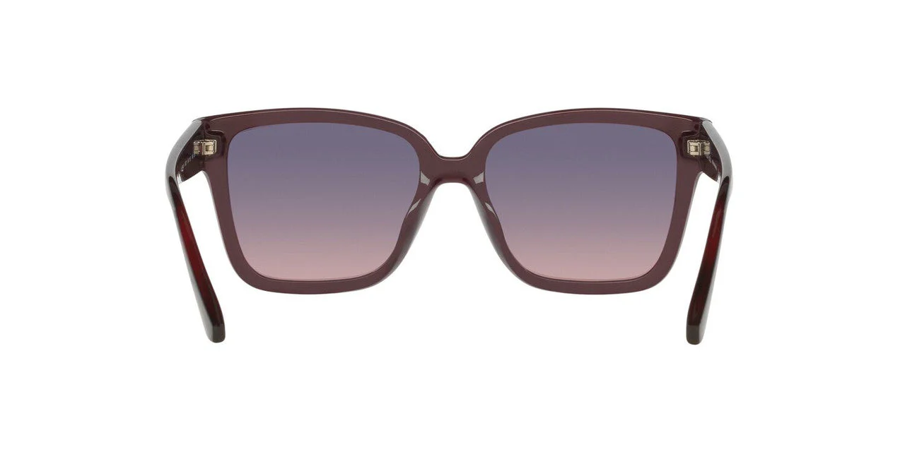 Gafas De Sol Jack Pacific JK1044U Rosa/Rosa - Image 4