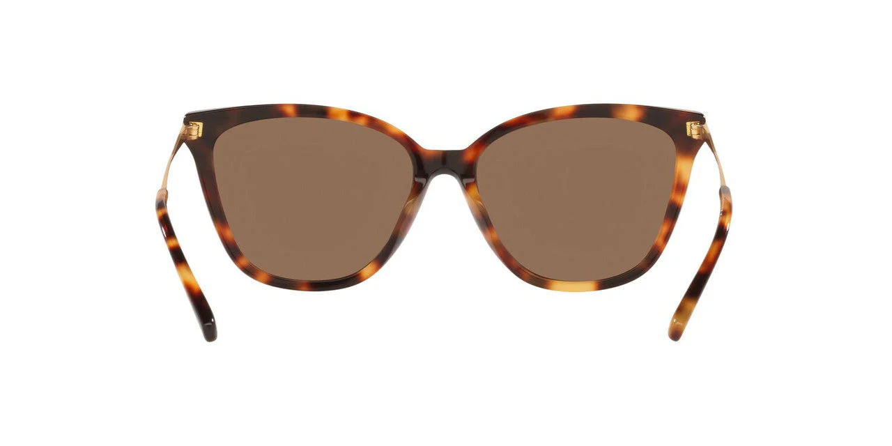 Gafas De Sol Jack Pacific JK6001M Café/Havana - Image 4