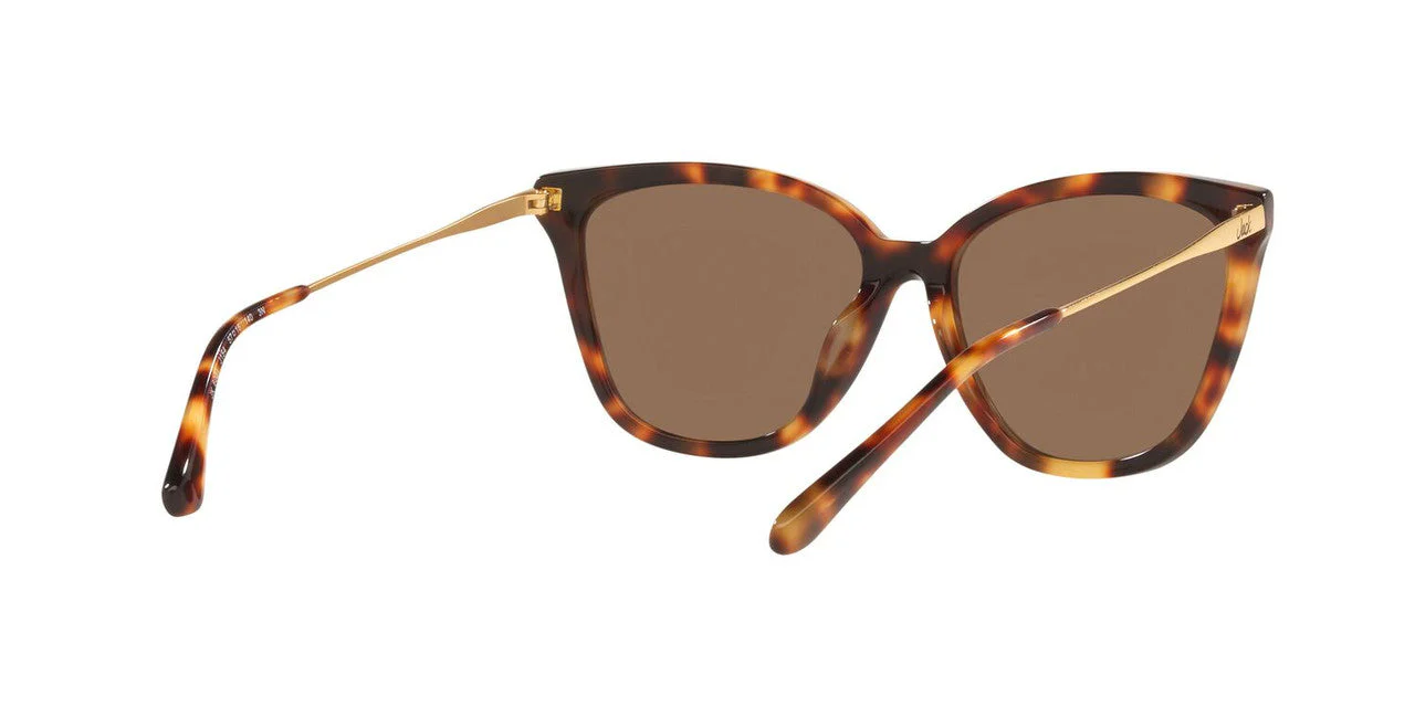 Gafas De Sol Jack Pacific JK6001M Café/Havana - Image 5