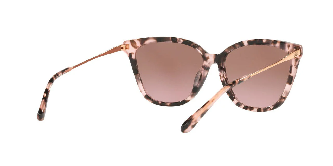 Gafas De Sol Jack Pacific JK6001M Rosa/Havana - Image 5