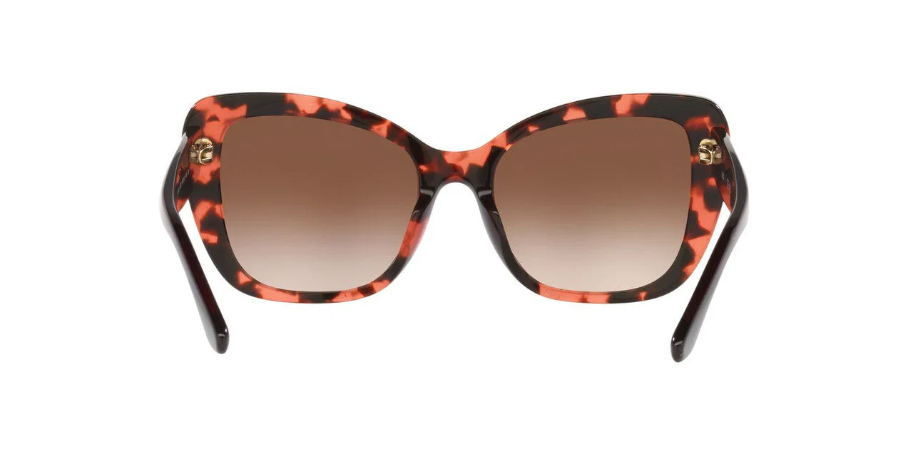 Gafas De Sol Jack Pacific JK6003U Café/Havana - Image 4
