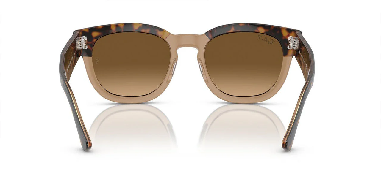 Gafas De Sol Ray-Ban RB0298S Café/Café - Image 4