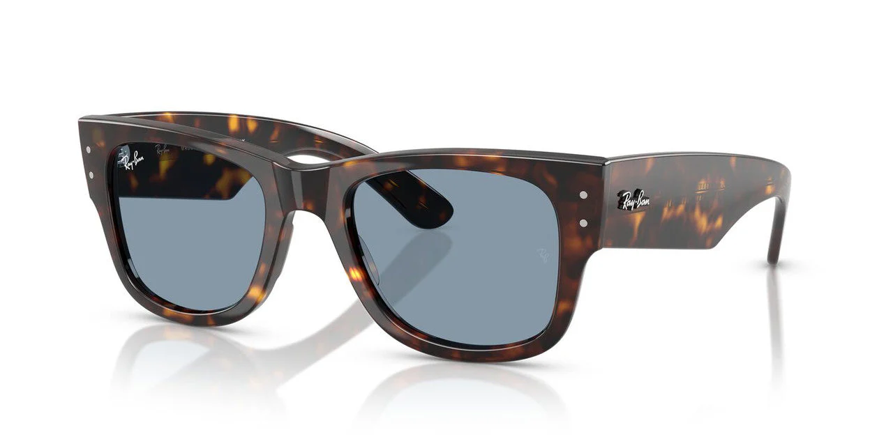 Gafas De Sol Ray-Ban RB0840S Azul/Havana - Image 2