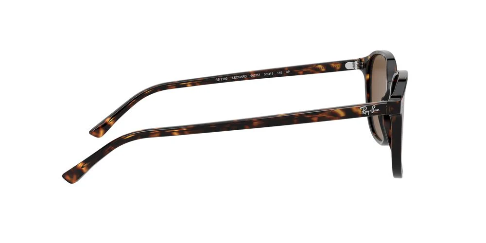 Gafas De Sol Ray-Ban RB2193 Café/Café - Image 5