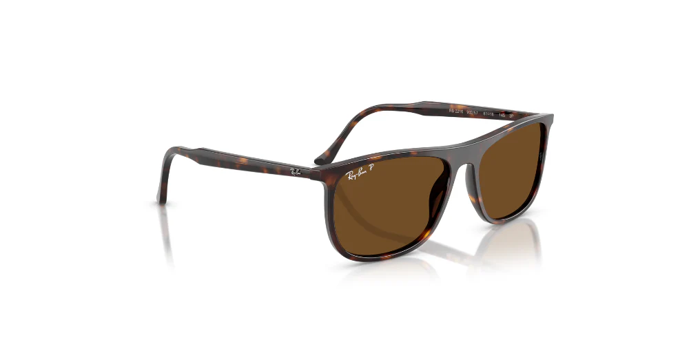 Gafas De Sol Ray-Ban RB2216 Marron/Havana - Image 3