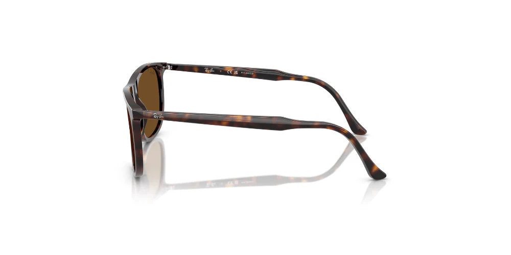 Gafas De Sol Ray-Ban RB2216 Marron/Havana - Image 4