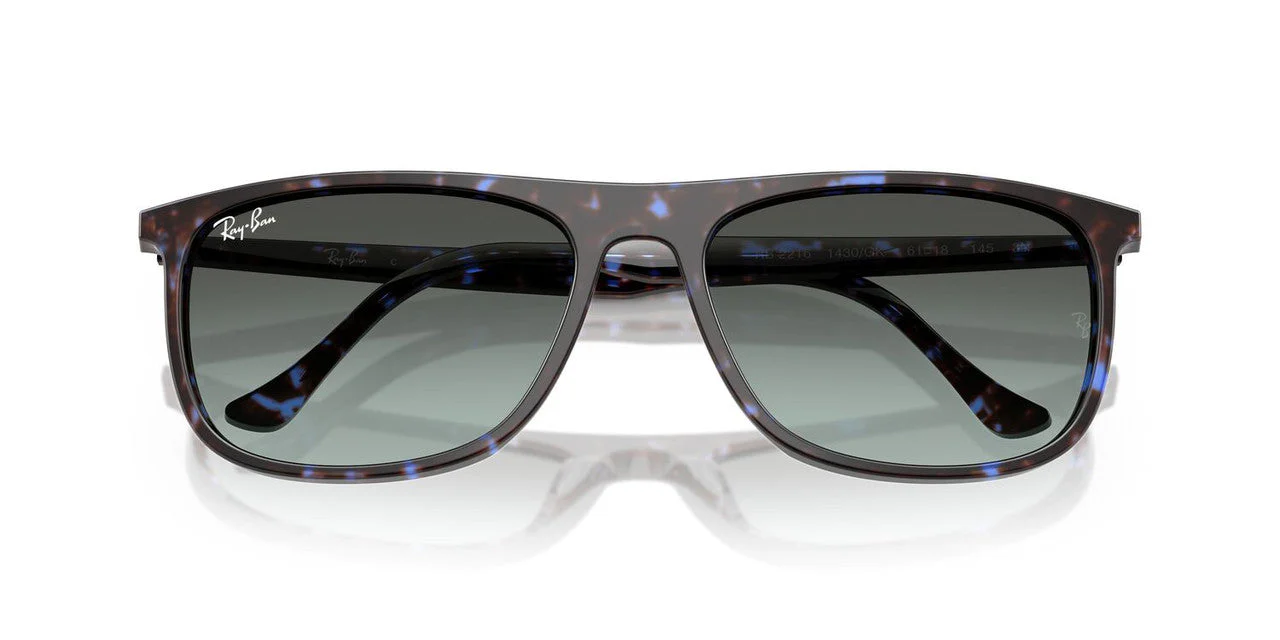 Gafas De Sol Ray-Ban RB2216 Negro/Havana - Image 4