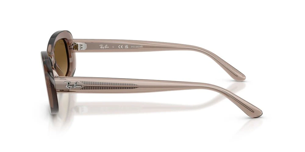Gafas De Sol Ray-Ban RB2221 Café/Café - Image 3