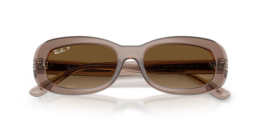 Gafas De Sol Ray-Ban RB2221 Café/Café - Image 5
