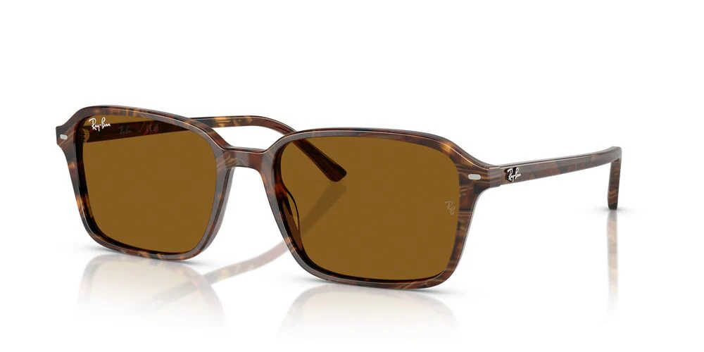 Gafas De Sol Ray-Ban RB2231 Café/Café - Image 2