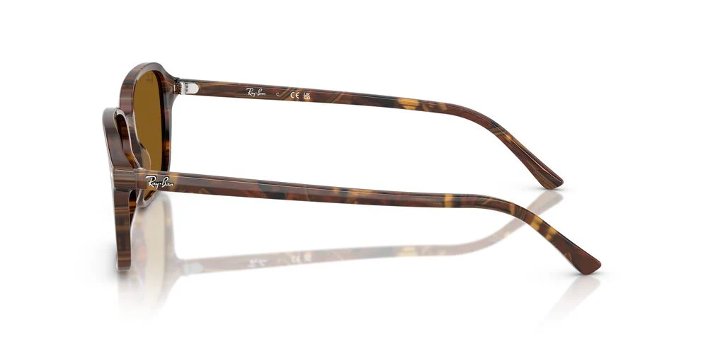Gafas De Sol Ray-Ban RB2231 Café/Café - Image 3