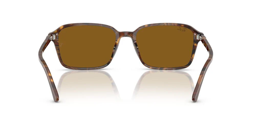 Gafas De Sol Ray-Ban RB2231 Café/Café - Image 4