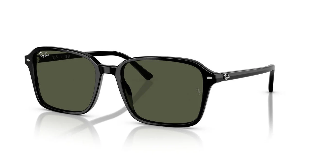 Gafas De Sol Ray-Ban RB2231 Verde/Negro - Image 2