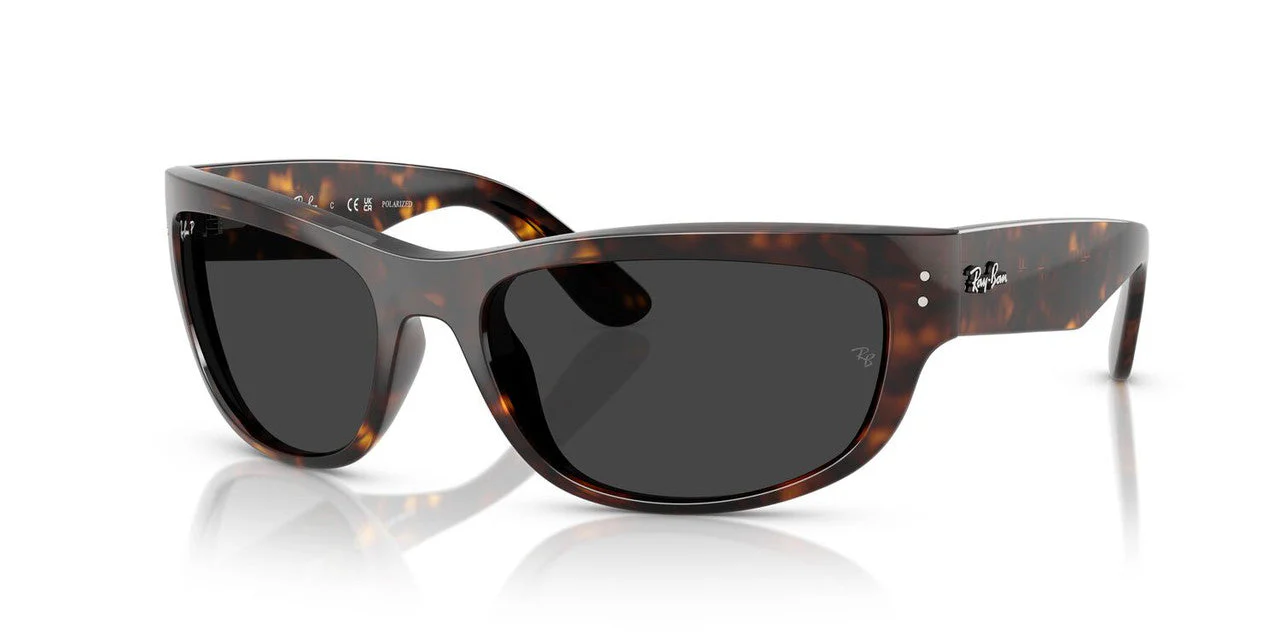 Gafas De Sol Ray-Ban RB2289 Negro/Havana - Image 2
