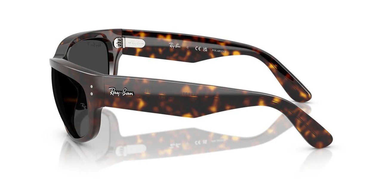 Gafas De Sol Ray-Ban RB2289 Negro/Havana - Image 3