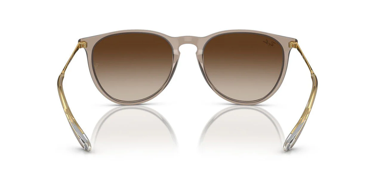 Gafas De Sol Ray-Ban RB4171 Café/Marrón - Image 4