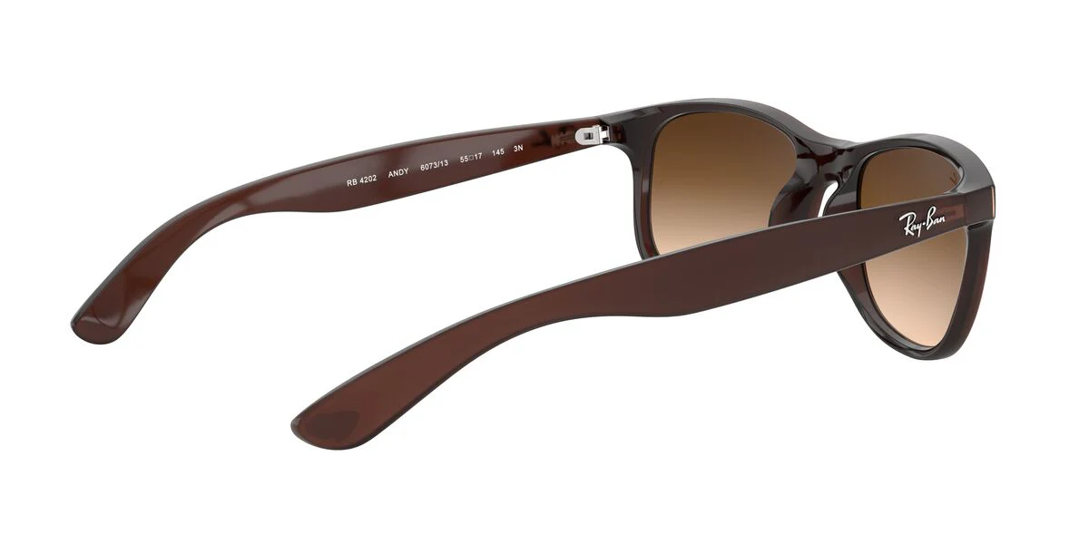 Gafas De Sol Ray-Ban RB4202 Café/Café - Image 4