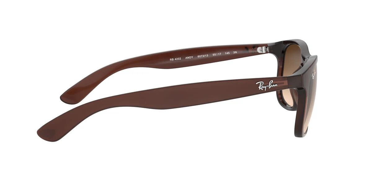 Gafas De Sol Ray-Ban RB4202 Café/Café - Image 5