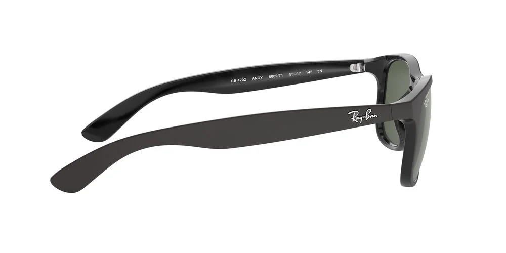 Gafas De Sol Ray-Ban RB4202 Verde/Negro - Image 5