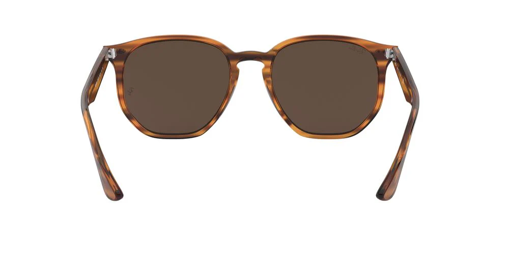 Gafas De Sol Ray-Ban RB4306 Café/Rojo - Image 4