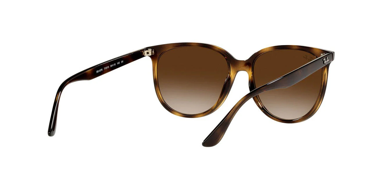 Gafas De Sol Ray-Ban RB4378 Café/Havana - Image 5