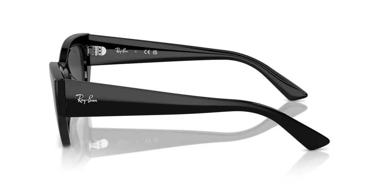 Gafas De Sol Ray-Ban RB4430 Gris/Negro - Image 3