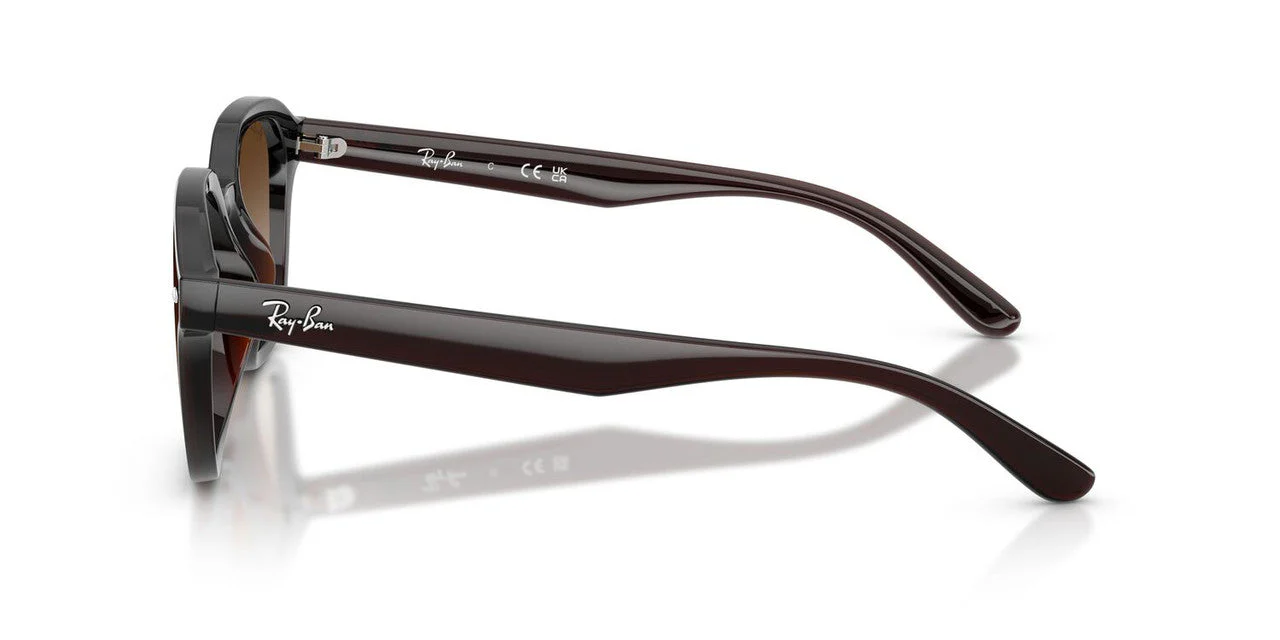 Gafas De Sol Ray-Ban RB4458D Café/Café - Image 3