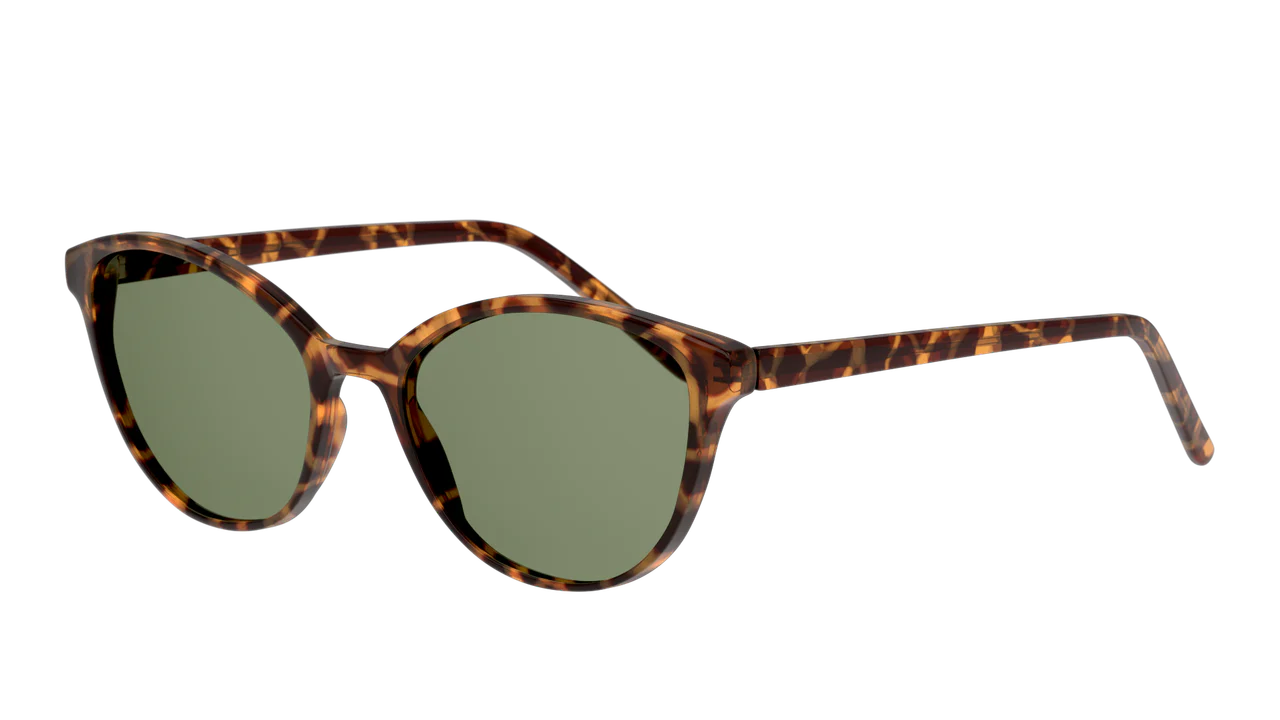 Gafas De Sol Seen NE6004 Verde/Havana - Image 2