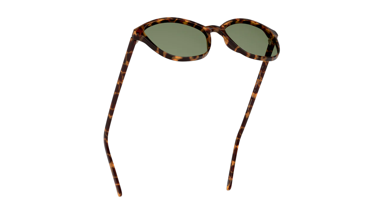 Gafas De Sol Seen NE6004 Verde/Havana - Image 5