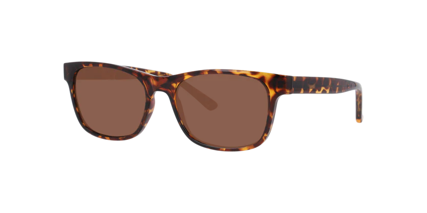 Gafas De Sol Seen NE6078 Café/Havana - Image 2