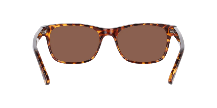 Gafas De Sol Seen NE6078 Café/Havana - Image 4