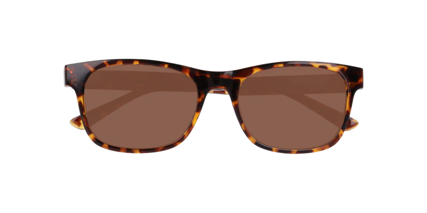 Gafas De Sol Seen NE6078 Café/Havana - Image 5