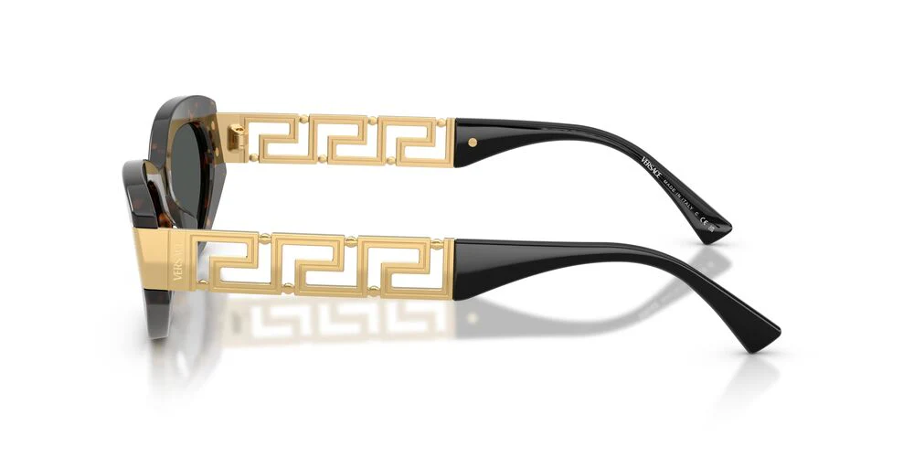 Gafas De Sol Versace VE4501 Gris/Havana - Image 3