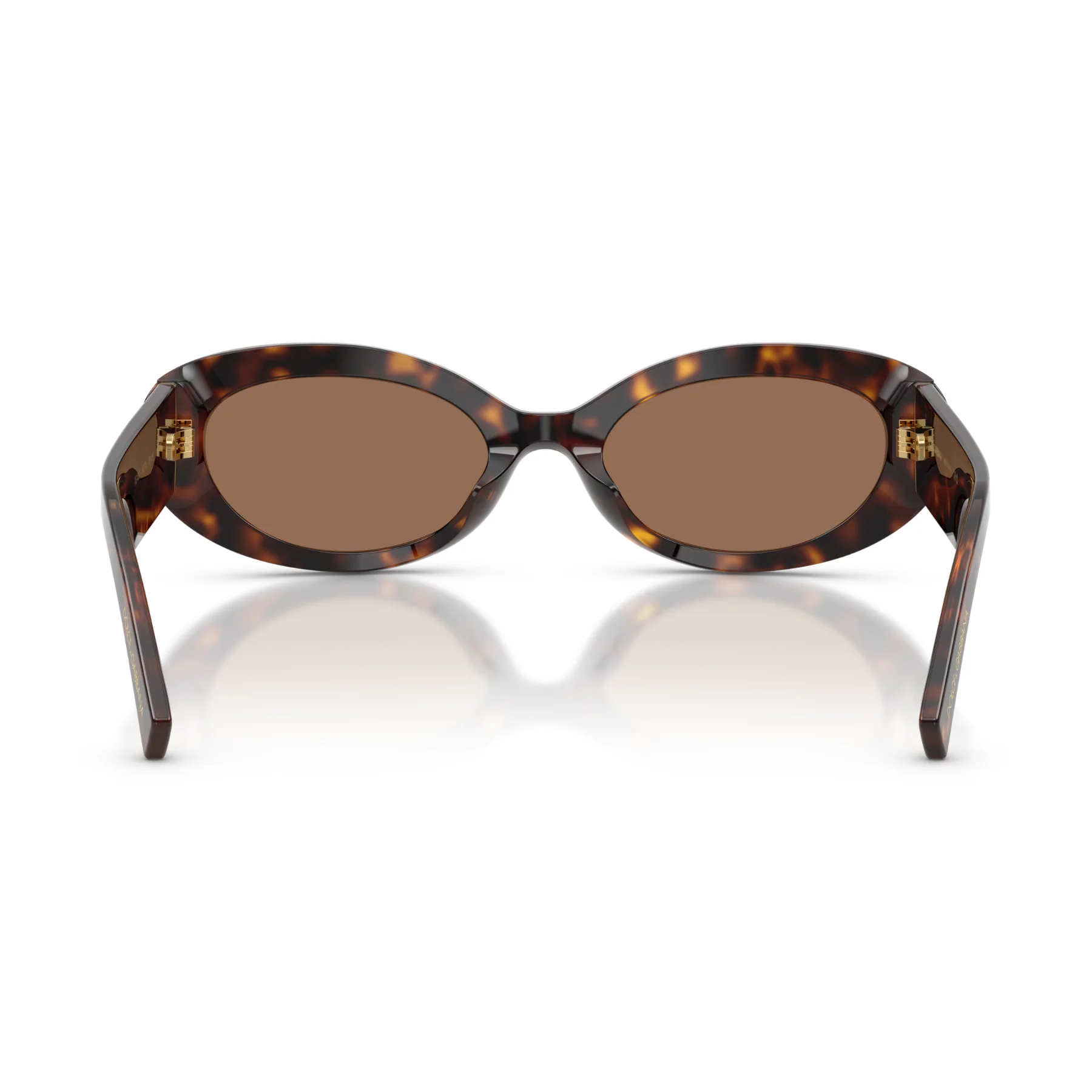 Gafas De Sol Dolce & Gabbana DG4537 Havana Dark Brown Café/Havana - Image 4